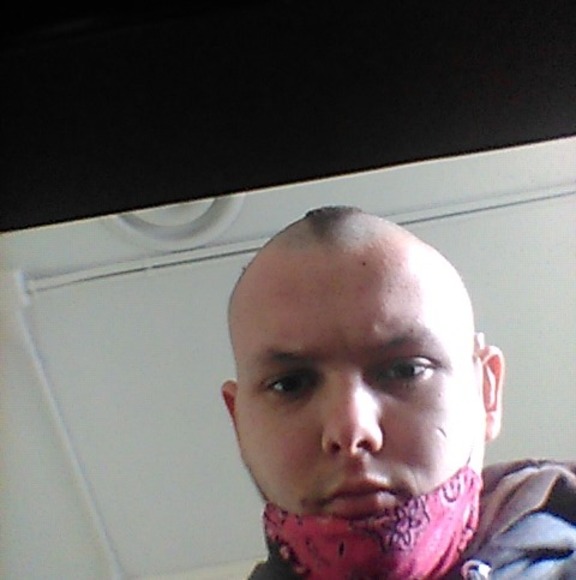 Meet your Posher, Dylan - Picture 1 of 1